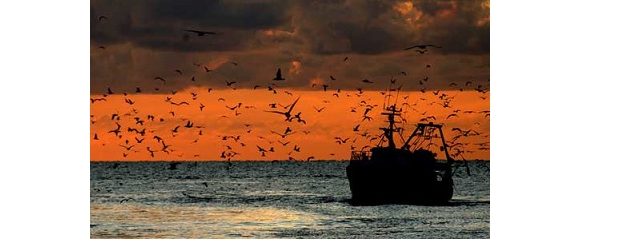 Sottoscritto CCNL – Contratto Collettivo Nazionale di lavoro per gli imbarcati su natanti di cooperative di pesca tra UN.I.COOP. – UGL.