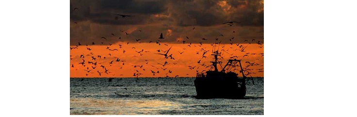 Sottoscritto CCNL – Contratto Collettivo Nazionale di lavoro per gli imbarcati su natanti di cooperative di pesca tra UN.I.COOP. – UGL.