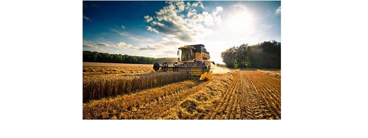 Dipartimento UN.I.COOP. Agricoltura. Meeting Italia – Romania