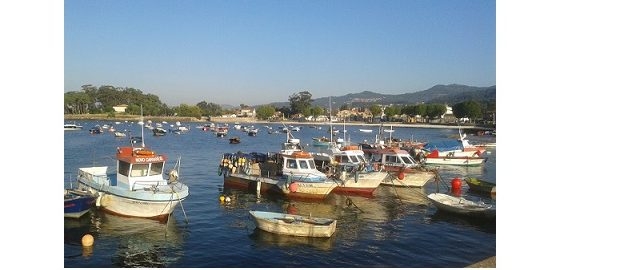 UN.I.COOP. Pesca: proposte concrete Commissione agricoltura e produzione alimentare Senato della Repubblica