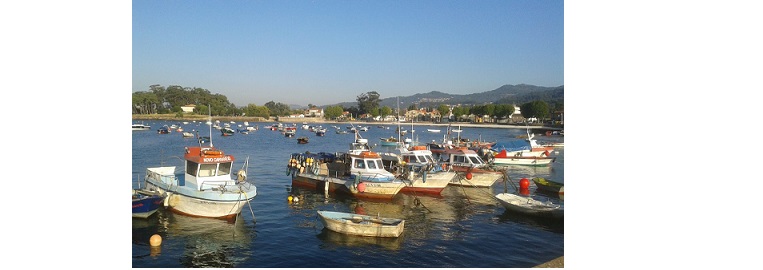 UN.I.COOP. Pesca: proposte concrete Commissione agricoltura e produzione alimentare Senato della Repubblica