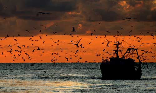 Protocollo d’intesa MIPAAF – Associazioni Nazionali pesca